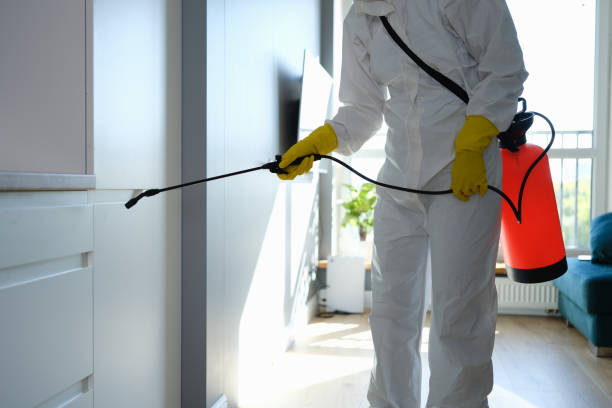 Mold Inspection, Removal & Remediation